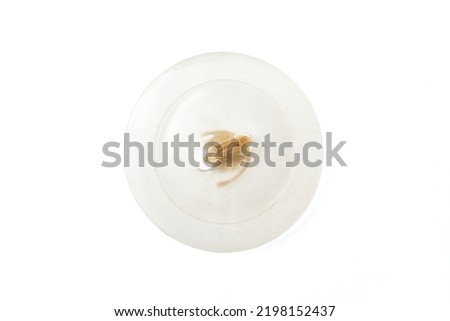 vintge button transparent isolated on white background