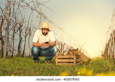 Vintner in vineyard using mobile phone