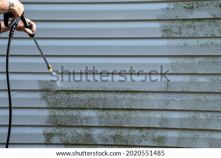 The vinyl siding is molded and slimy but a good power washing takes care of the problem nicely.