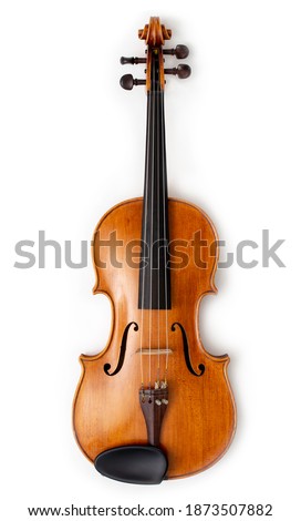 Viola. Classical orchestra and solo music instrument.