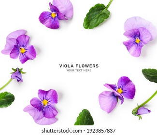 Viola pansy flower creative layout and composition. Lilac spring flowers and leaves  isolated on white background. Floral arrangement, design element. Springtime concept. Top view, flat lay 