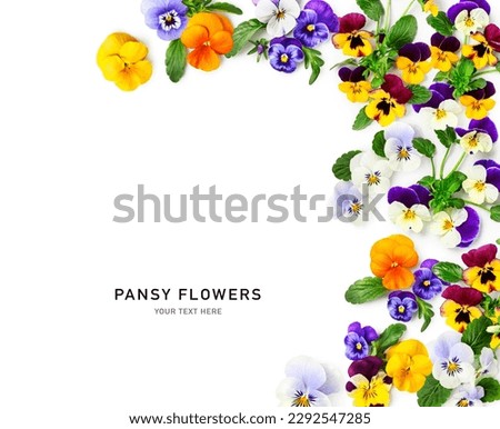 Viola pansy flower frame border. Violet spring flowers and leaves isolated on white background. Creative layout. Floral design element. Springtime and easter concept. Top view, flat lay 
