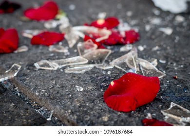 Violence In Bad Romance Valentine's Day Concept. Spoiled Petals Of Roses And Broken Glass On Floor After Fight.