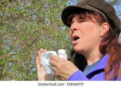 Violent Sneezing With Hayfever. A Woman Has Hay Fever