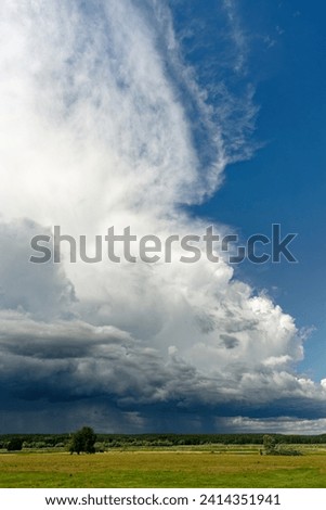 Violent thunderstorm front with threatening cloud formation, from which partly rain falls, over a flat floodplain landscape with meadows and single trees, sunny weather, Germany Poland border area