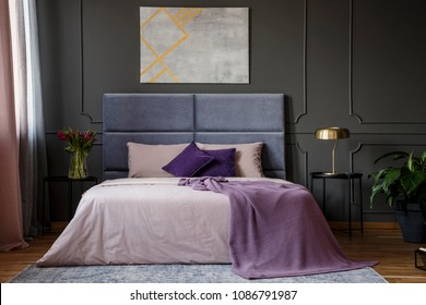 Blue Purple Bedroom Stok Fotograflar Gorseller Ve