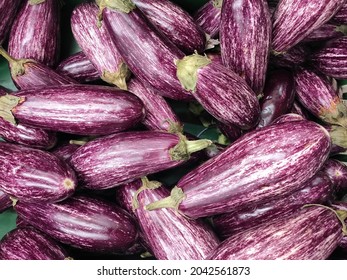 Violet eggplants close up. Background from eggplants. - Shutterstock ID 2042561873