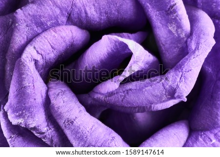 violet eustoma flowers close up macro shot