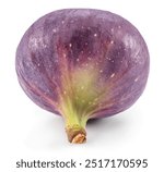 Violet fig fruit isolated on white background. File contains clipping path.