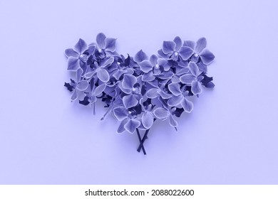 Violet flowers in heart shape on Very peri color background. - Shutterstock ID 2088022600