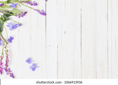 violet flowers on white wooden background