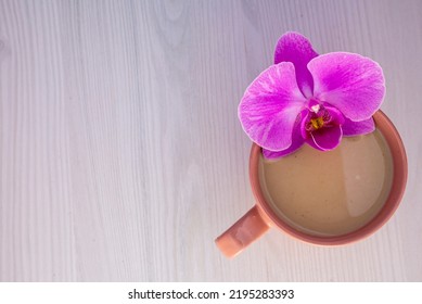 Violet Orchid Flower Pink Cup Of Latte Coffee With Milk White Tulle  Wood Background, Top View Flatlay Morning