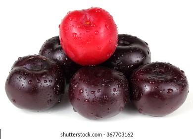 Violet and red plums