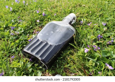 Violet Simple Syrup In A Bottle With Grass With Violets In The Background 