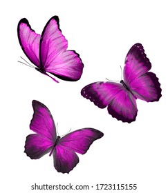 Three Color Watercolor Butterflies Isolated On Stock Illustration ...