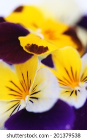 violets