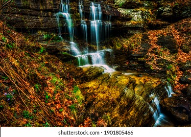Violets and waterfall, Devil's Den, Webster County, West Virginia, USA