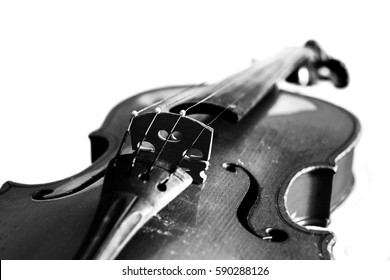 Violin - Powered by Shutterstock