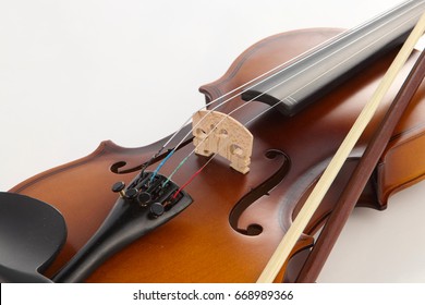 Violin