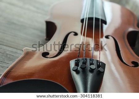 The violin