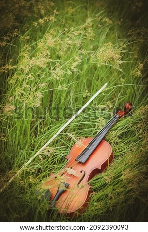 Violin  background with filed and green grass 