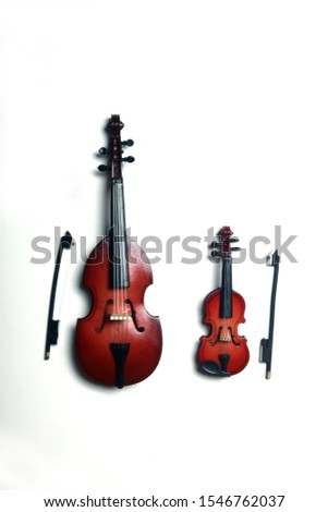violin and bass-viol on white background