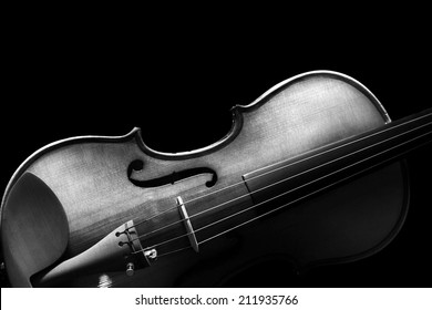 black and white violin pictures