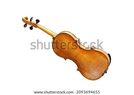 Violin from behind showing the wood grain, also called fiddle, stringed musical instrument from the viol family, isolated on a white background, copy space, selected focus