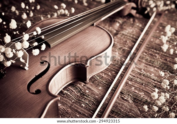 Violin and bow with gypsophelia on woven\
cloth for musical concepts and love and\
romance