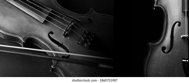 16,231 Cello Black Images, Stock Photos & Vectors | Shutterstock