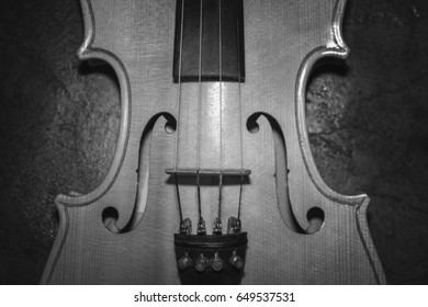 Violin B&W