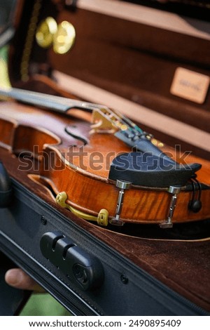Violin in a case close up