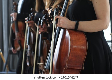 Violin and cello, string quartet at a musical concert
