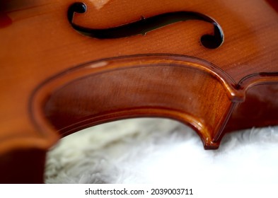 Violin Closeup Waist And F Hole