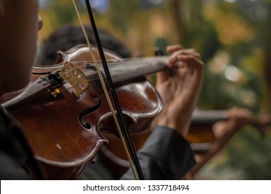 Violin Duet Concert