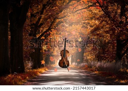 The violin hanging in the air against the background of the autumn park 