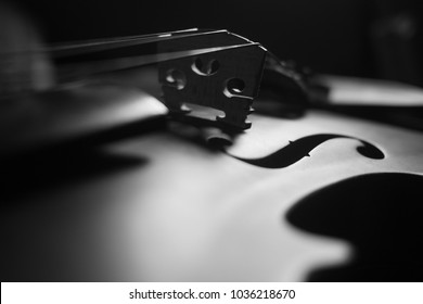 Violin , Instrument in Dark , Black and white , Music light