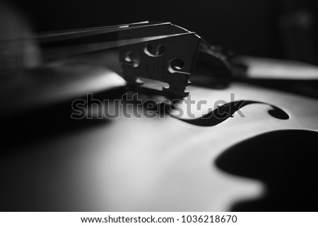 Violin , Instrument in Dark , Black and white , Music light