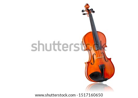 Violin isolate on white background.Body violin.Picture have white space for text. Shadow is mirror reflection.