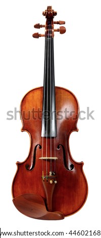 Violin isolated