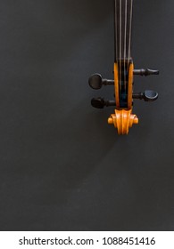 Violin On A Dark Background