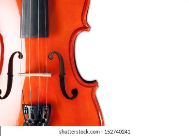 Violin on the white background.