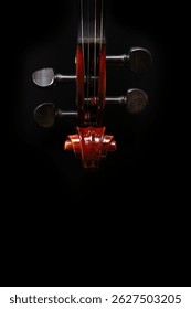 Violin peg box and scroll on black background with copy space