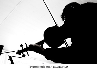 Violin Player Silhouette Black And White