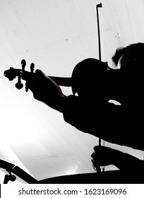 Violin Player Silhouette Black And White