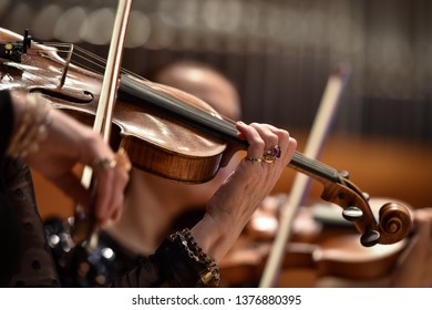 Violin Players Hand Detail During Philharmonic Orchestra Performance