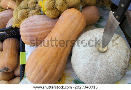 Violin pumpkin and autumn squash with knife, Halloween
