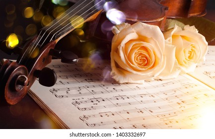 Violin with sheet music and white roses on black background