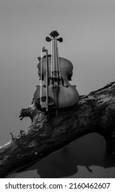 The violin is a stringed instrument that is played by swiping. The violin has four strings (G-D-A-E) that are tuned differently from each other by a fifth perfect interval. The lowest note is G. Among