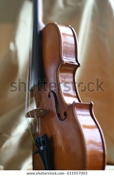 violin sound box